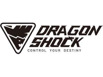 DragonShock