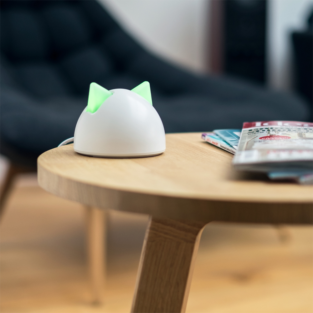 SUREFLAP Connect Hub
