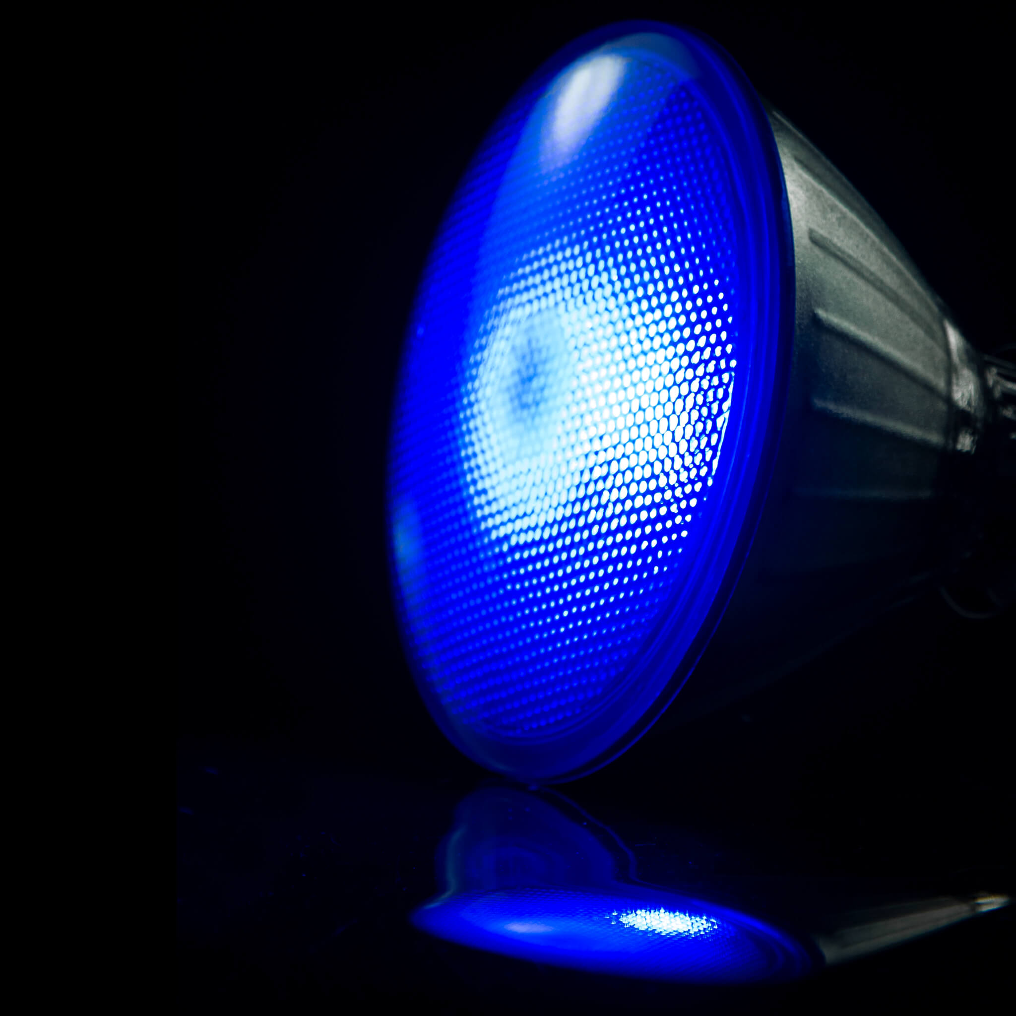 SEGULA LED Reflektor PAR38 blau E27 18W