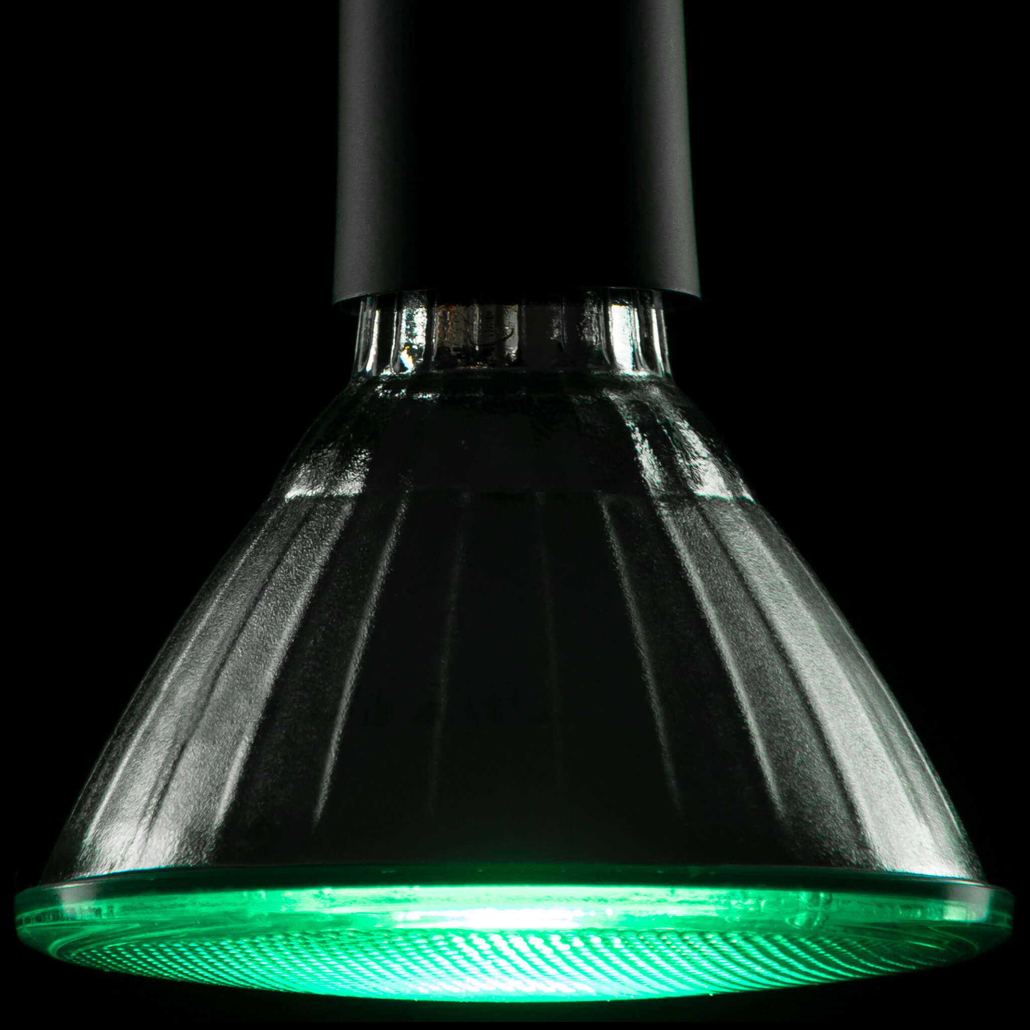 SEGULA LED Reflektor PAR38 grün E27 18W LED