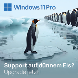 Microsoft SRI Warenkorbbanner