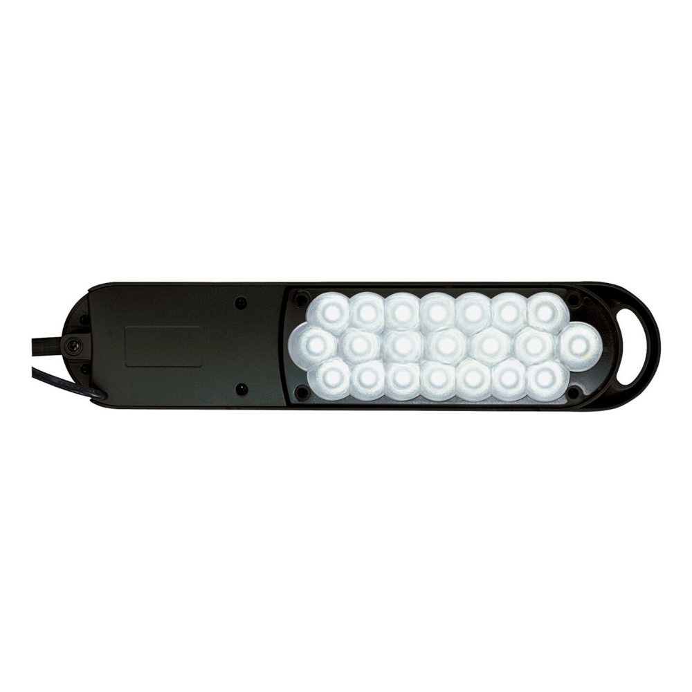 MAUL LED Tischleuchte Atlantic mit Klemmfuß schwarz