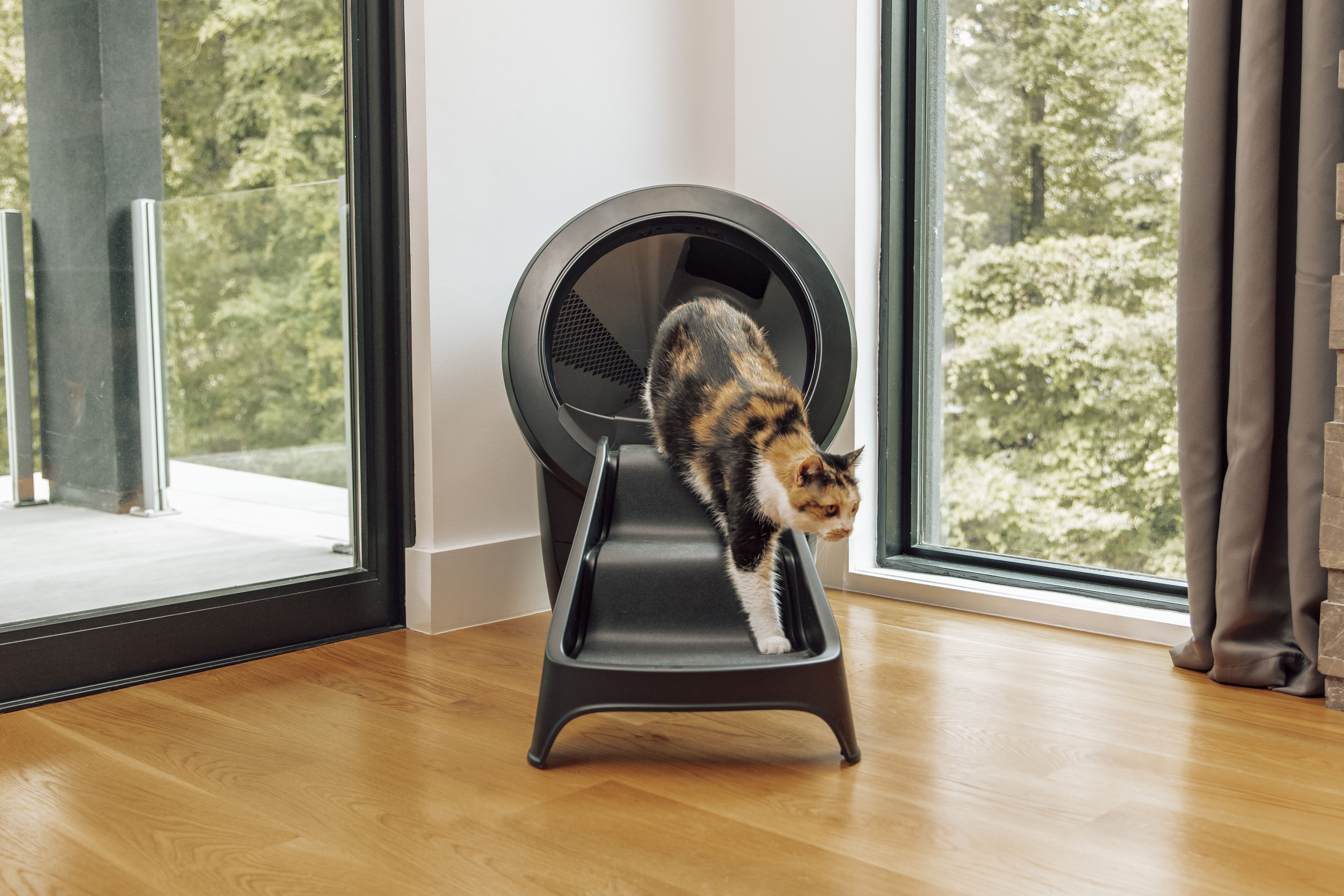 WHISKER LITTER-ROBOT 4 RAMP, BLACK